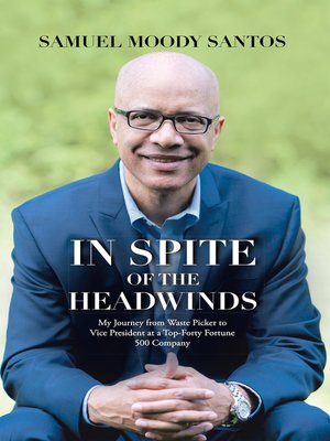 cover image of In Spite of the Headwinds